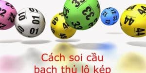 Bạch thủ lô kép